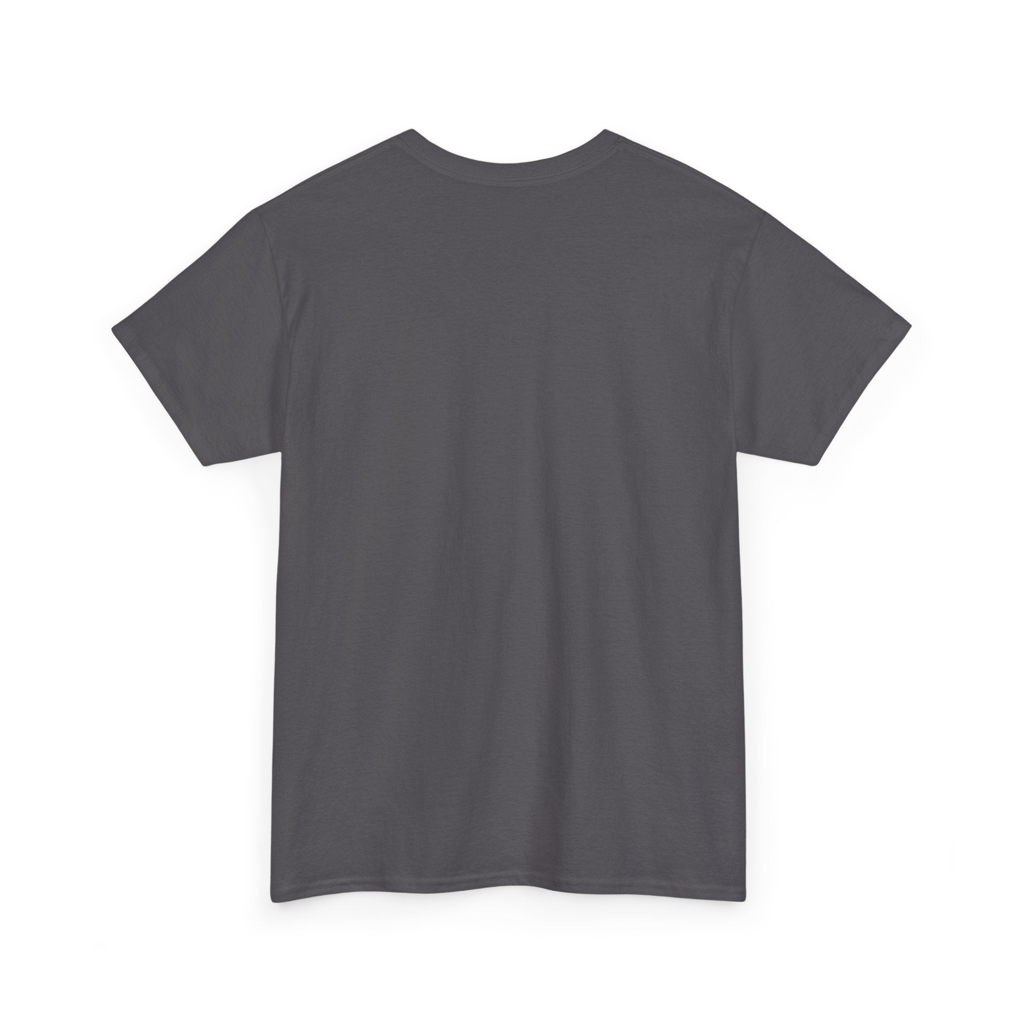 Homestead Era Tee — Vintage Pink 'Homestead Era' Graphic T-Shirt